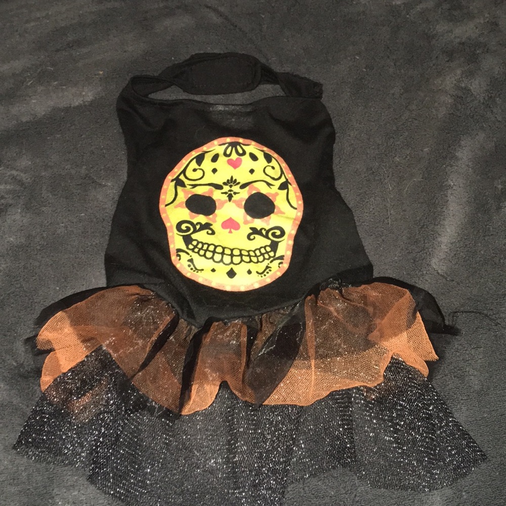 Pet dress costume